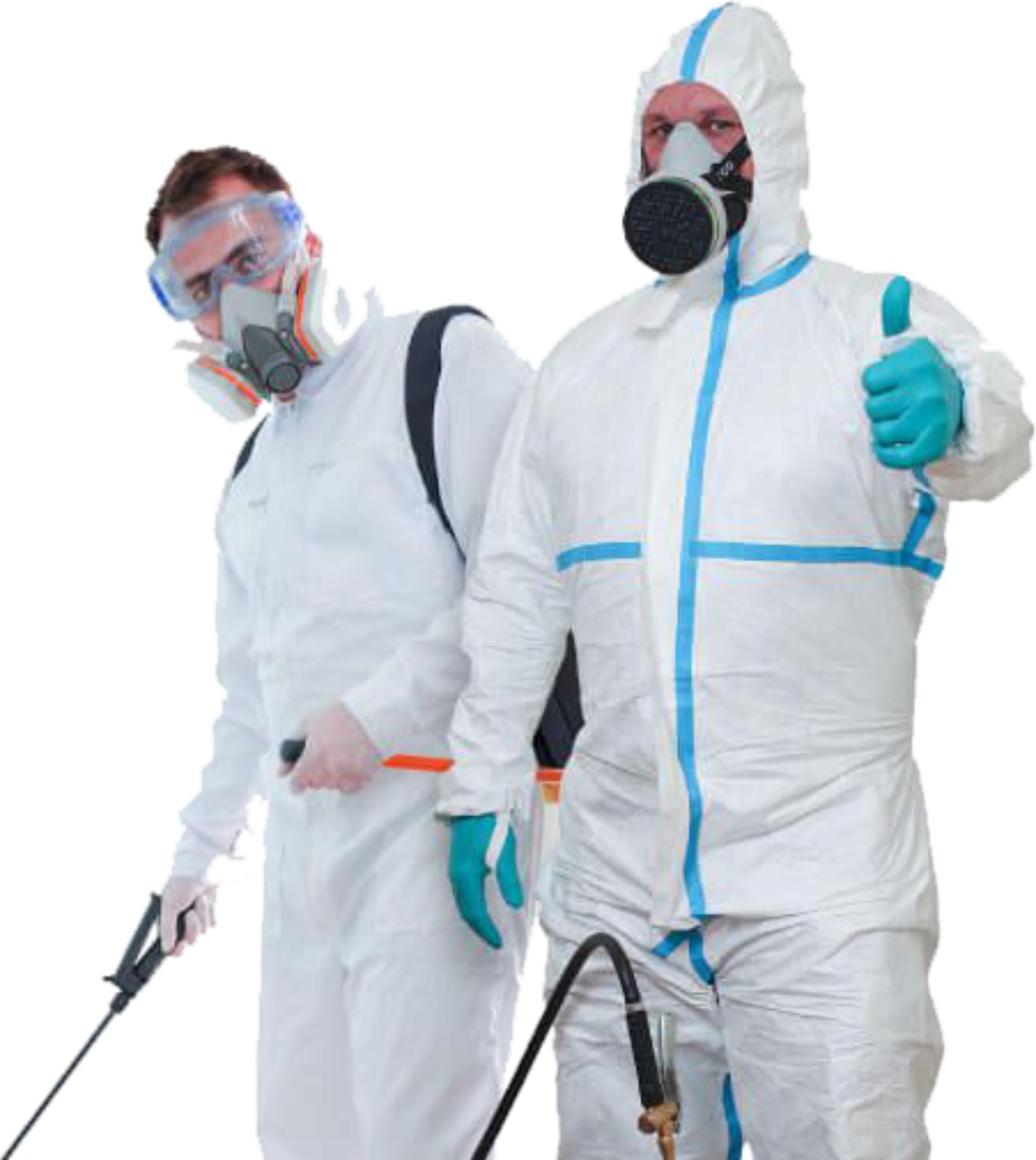Ecofumigaciones