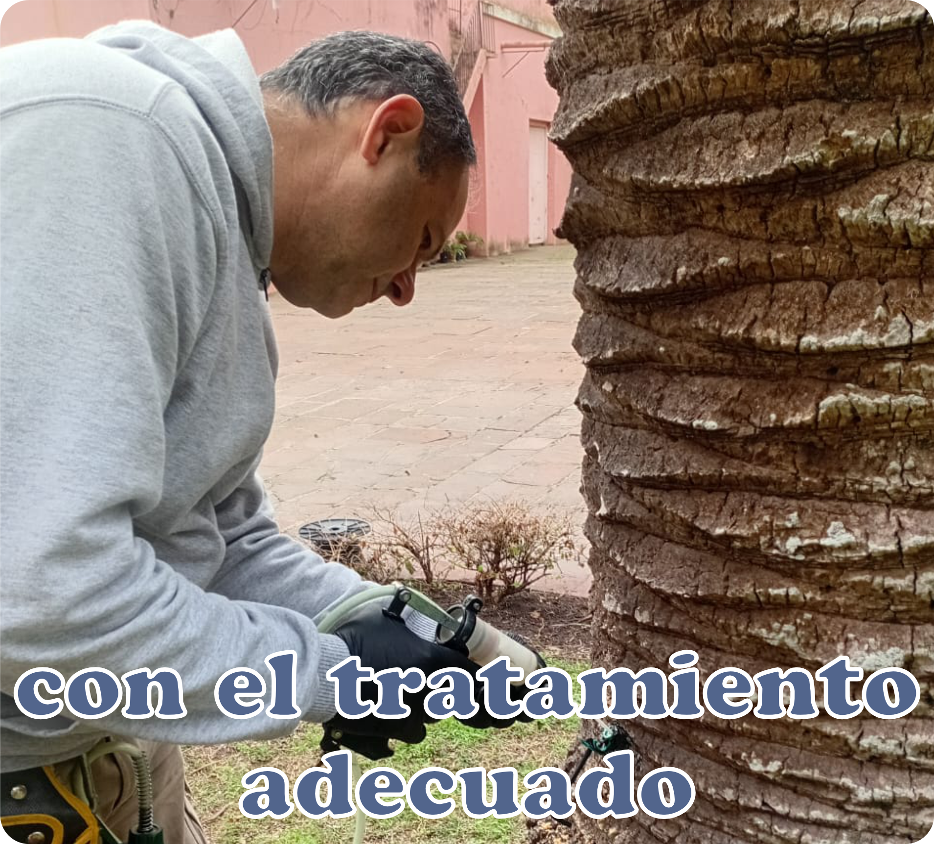 Imagen 20