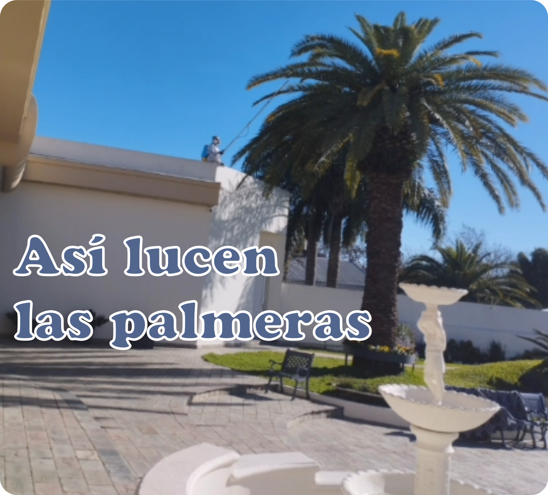 Imagen 21